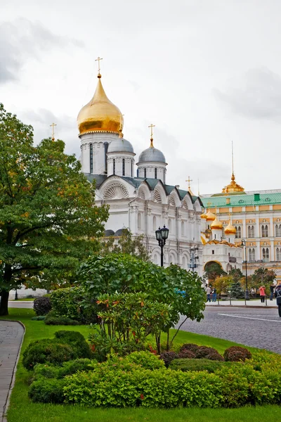Archangelsk kathedraal in het kremlin, Moskou, Rusland Stockfoto