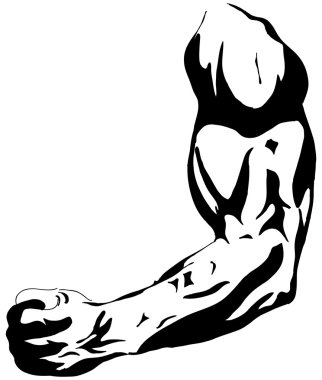 Female biceps clipart