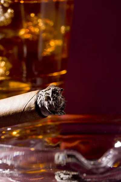 Cigar and Whiskey — Stockfoto