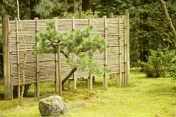 Japanse Tuin — Stockfoto