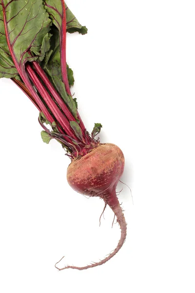 Red Beets — Stock Photo, Image