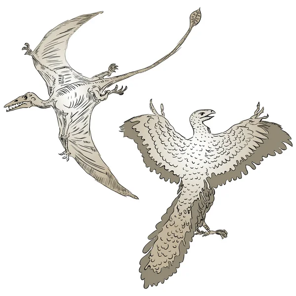 Pterodactyl ve antik kuşlar — Stok Vektör