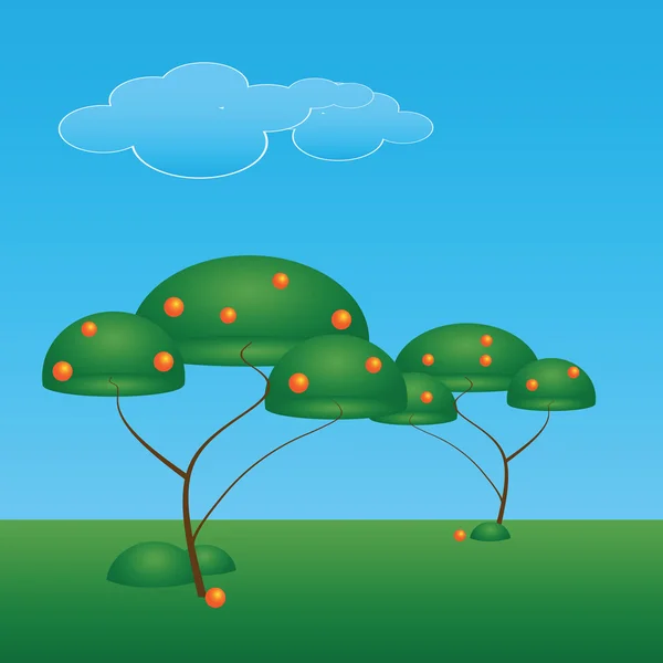 Portakal ağacı — Stok Vektör
