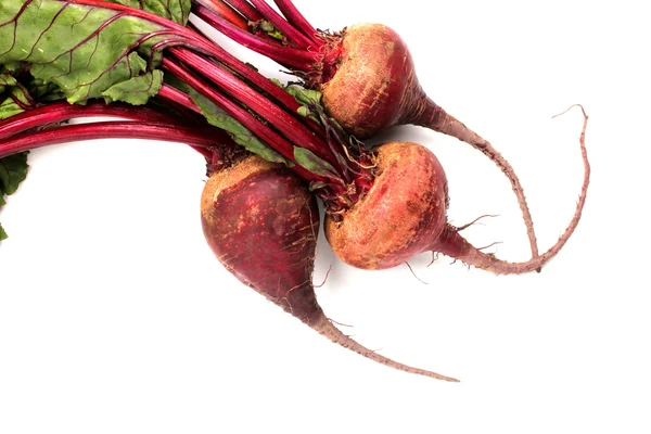 Red Beets — Stock Photo, Image