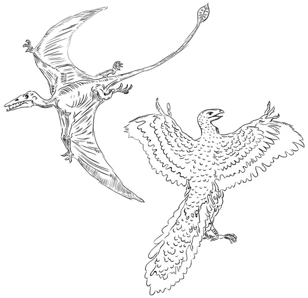 Pterodactyl ve antik kuşlar — Stok Vektör