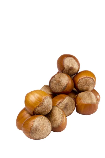 Коричневые орехи — стоковое фото