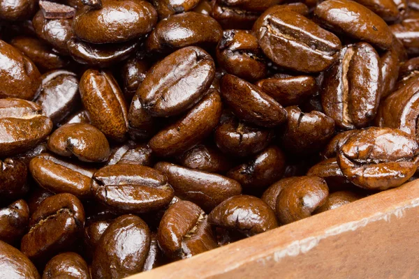 Coffee beans — Stock Photo, Image