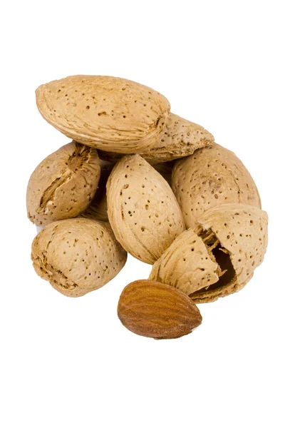 Almond Nuts — Stock Photo, Image