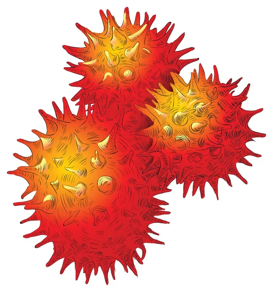 Bloem pollen — Stockvector