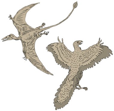 Pterodactyl and ancient birds clipart