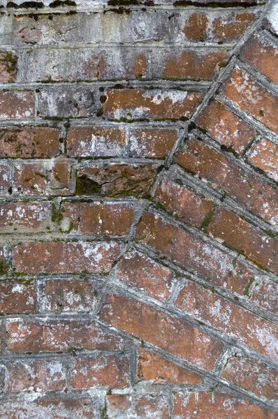 Grunge mursten wal - Stock-foto