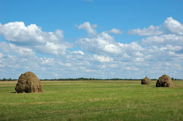 Haystacks çayır üzerinde — Stok fotoğraf