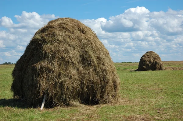 Два стога сена на лугу — стоковое фото