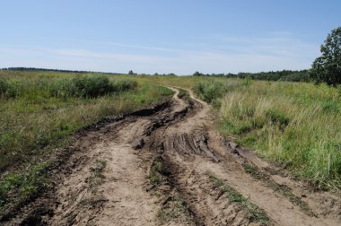 toprak yol çayırda