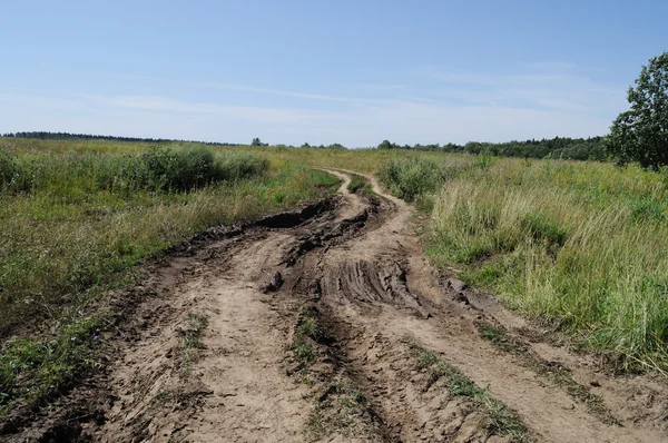 牧草地の未舗装の道路 — ストック写真