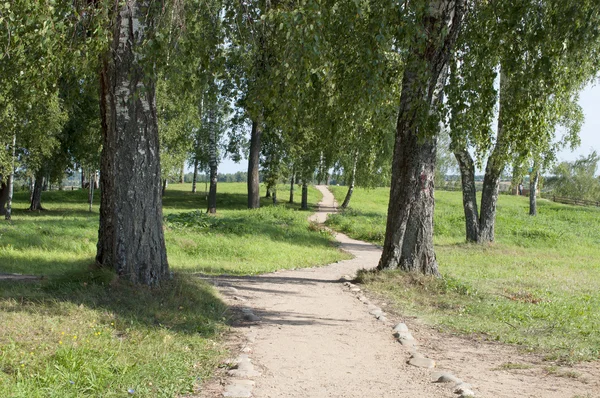 Ścieżka pieszo w parku — Zdjęcie stockowe