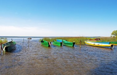 Anchored wooden boats in small bay clipart