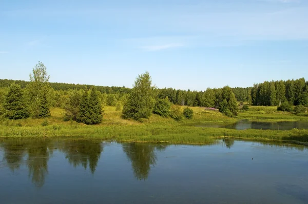 Lago pequeño bosque — Foto de Stock