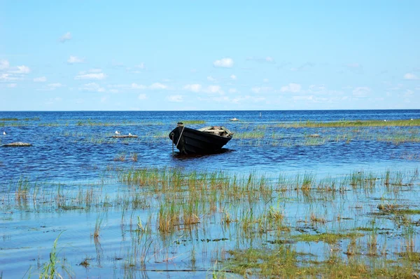 Barco de madeira perto da margem do lago — Fotografia de Stock