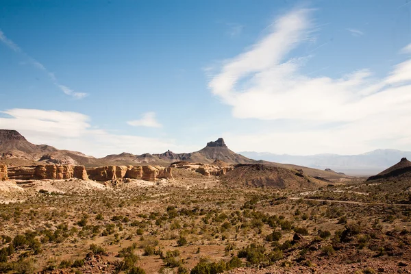 Arizona woestijn — Stockfoto
