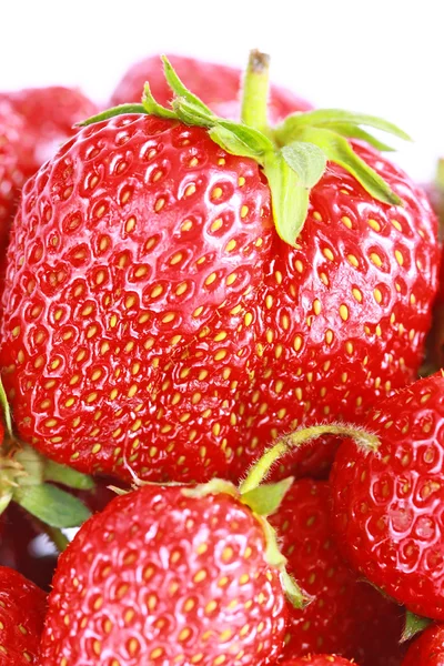 很多的新鲜红草莓隔离 — 图库照片