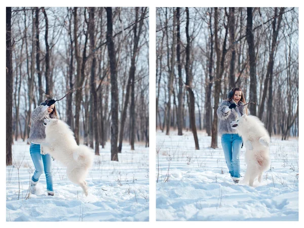 Mulher feliz com cão Samoyed na floresta de inverno — Fotografia de Stock