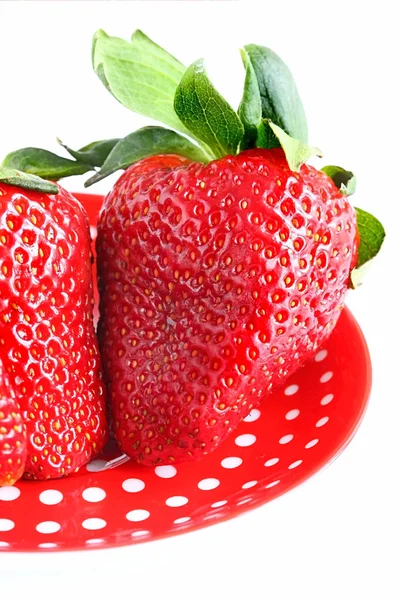 新鲜红草莓上白色隔离 — 图库照片