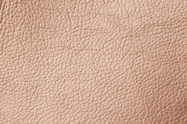 Close up leather pattern clipart