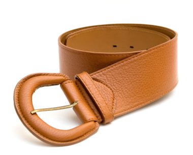 Brown belt. clipart