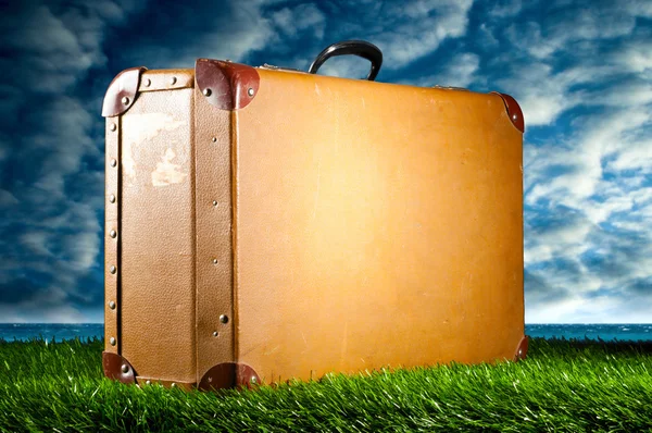 stock image Suitcase on grass