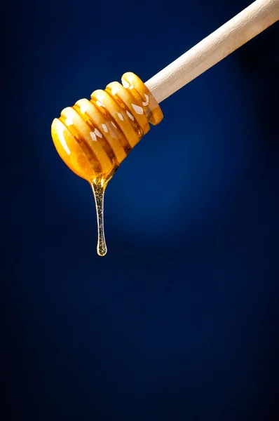 Honey spoon — Zdjęcie stockowe