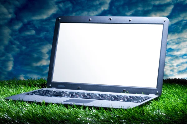 草地上的笔记本电脑 — 图库照片