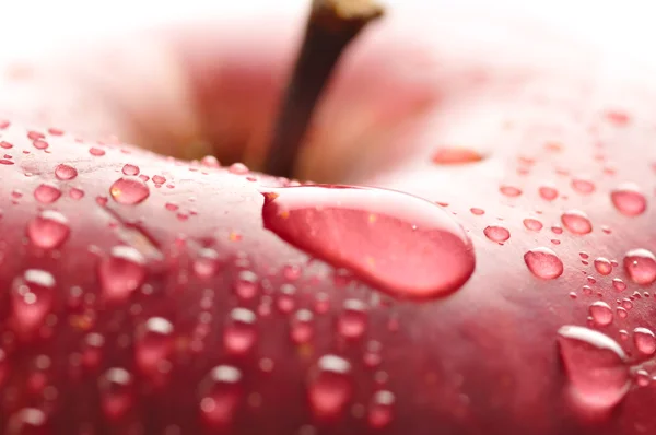 Червоне мокре яблуко з великою краплею, макро постріл — стокове фото