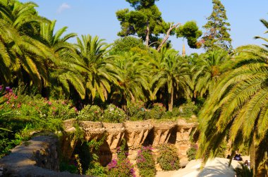 parc guell, palmiye ağaçları