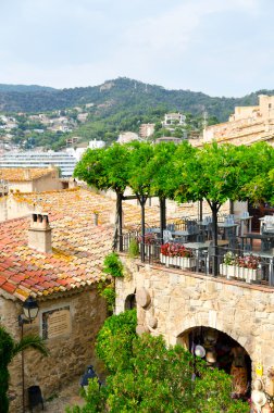 Tossa de mar