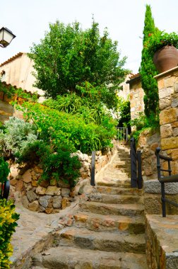 Tossa de mar