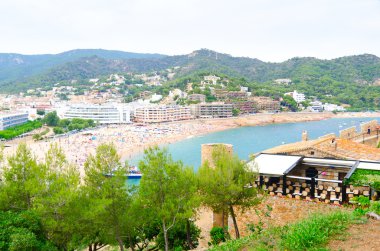 Tossa de mar