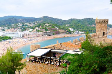 Tossa de mar