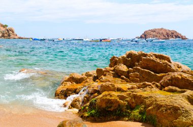 Tossa de mar