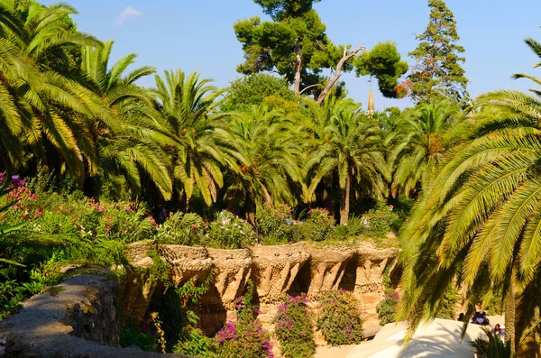 stock image Palm trees at Parc Guell