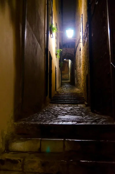 stock image Nocturnal Girona