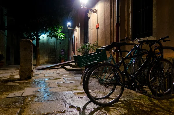 Nocturnal Girona — Stock Photo, Image