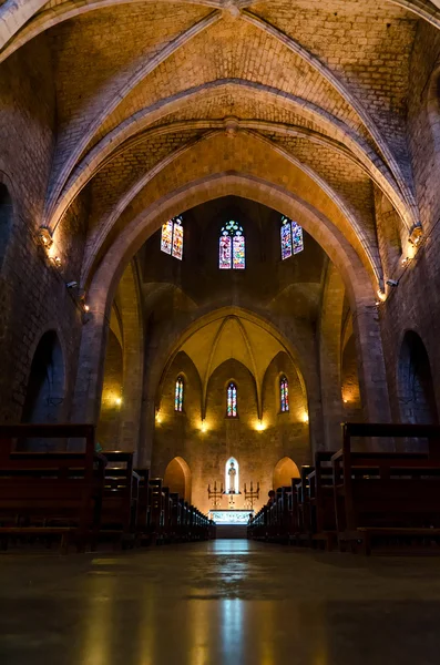 stock image Church of Saint Peter, Figueres