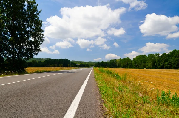 Empty country road — Stock Photo, Image
