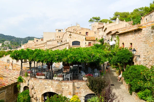 Tossa de mar