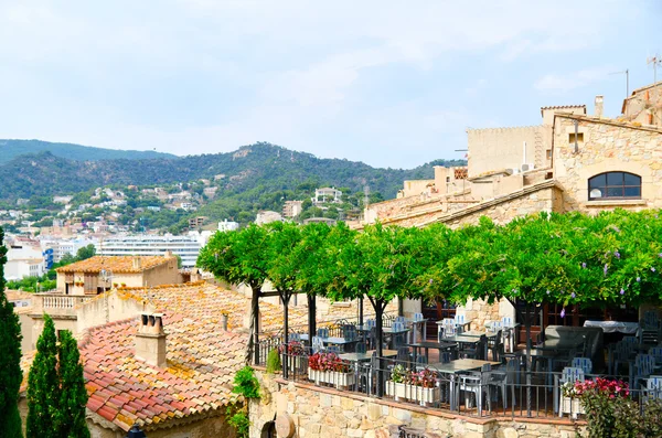 Tossa de mar — Fotografia de Stock