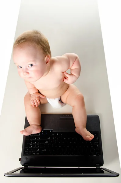 Küçük bebek dizüstü bilgisayarda çalışıyor — Stok fotoğraf