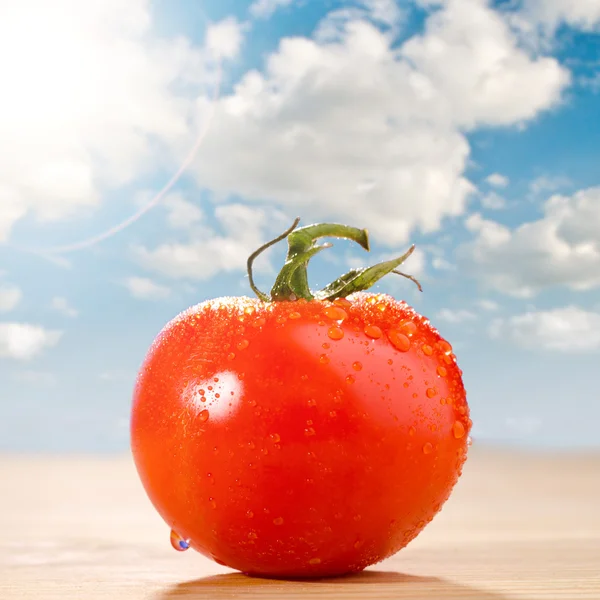 Čerstvé červené rajče — Stock fotografie