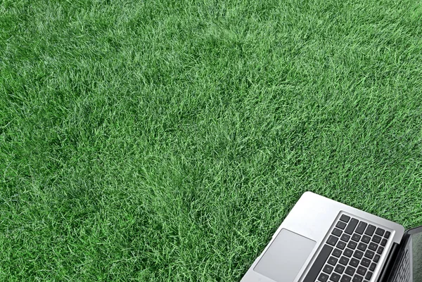 Ноутбук на зеленой траве — стоковое фото