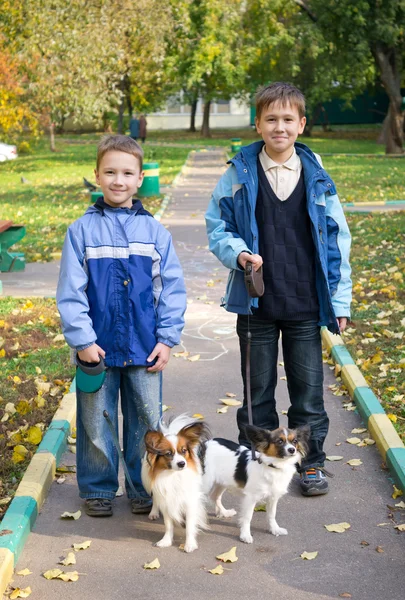 Two boys with dogs — Stock Photo, Image
